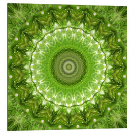 Gallery print Mandala green meadow