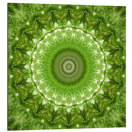 Magnettafel Mandala grüne Wiese