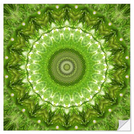 Muursticker Mandala green meadow