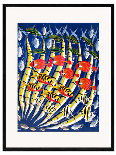 Framed art print Brightly colored fish school