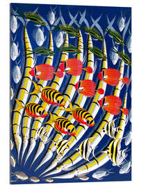 Cuadro de plexi-alu Brightly colored fish school