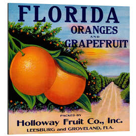 Aluminiumsbilde Florida Oranges and Grapefruit