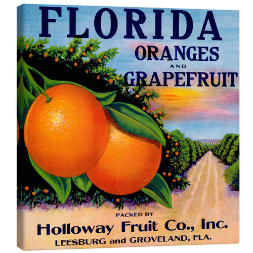 Canvas print Florida Oranges and Grapefruit