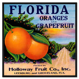 Gerahmter Kunstdruck Florida Oranges and Grapefruit