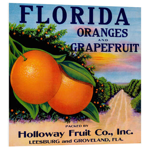 Tableau en PVC Florida Oranges and Grapefruit