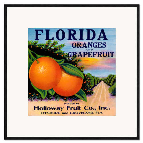 Ingelijste kunstdruk Florida Oranges and Grapefruit