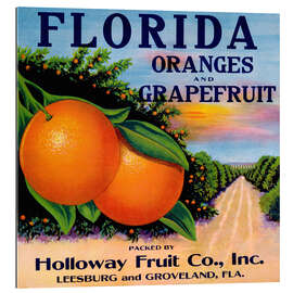 Gallery print Florida Oranges and Grapefruit