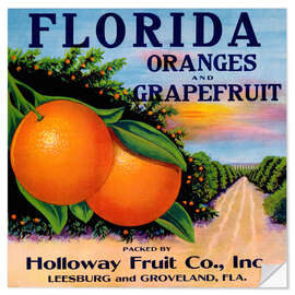 Vinilo para la pared Florida Oranges and Grapefruit