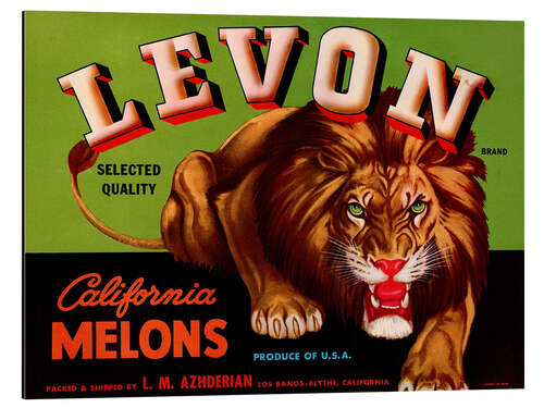 Quadro em alumínio Levon