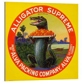 Quadro em alumínio Alligator Supreme