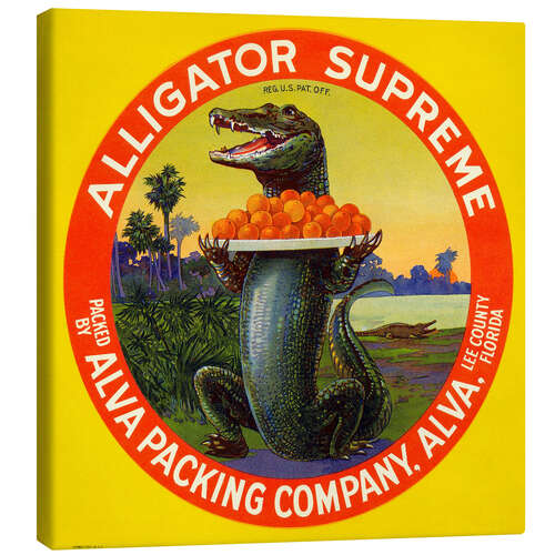 Lienzo Alligator Supreme