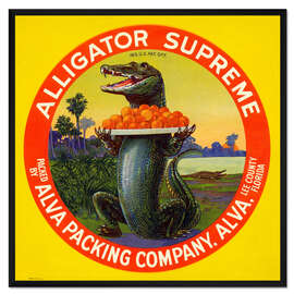 Gerahmter Kunstdruck Alligator Supreme