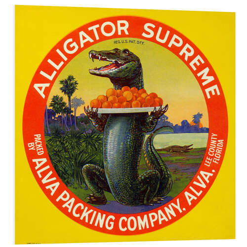 Obraz na PCV Alligator Supreme