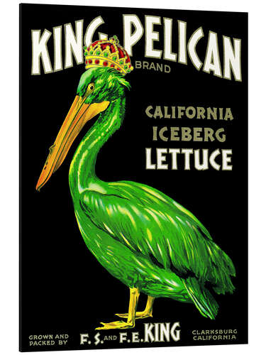 Aluminiumsbilde King Pelican (English)