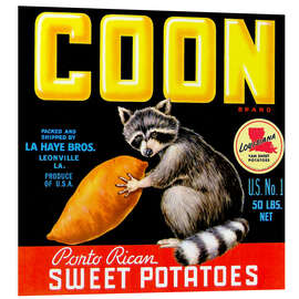 Hartschaumbild Coon - Vintage Advertising Collection
