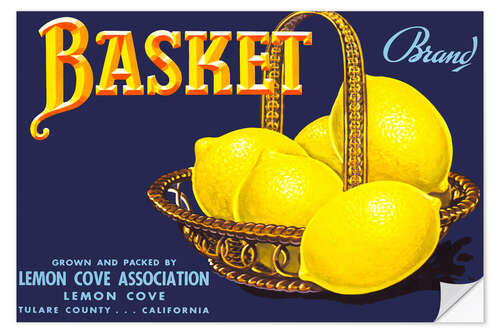 Sisustustarra basket brand