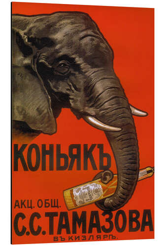 Aluminium print Elephant with bottle