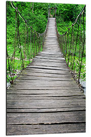 Aluminium print rope bridge