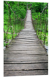 Foam board print rope bridge