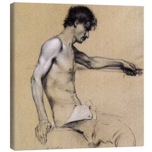 Lerretsbilde Male nude study