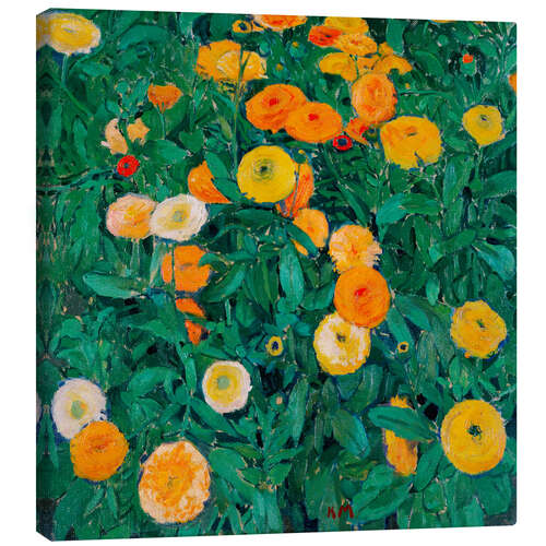 Canvas print Marigold