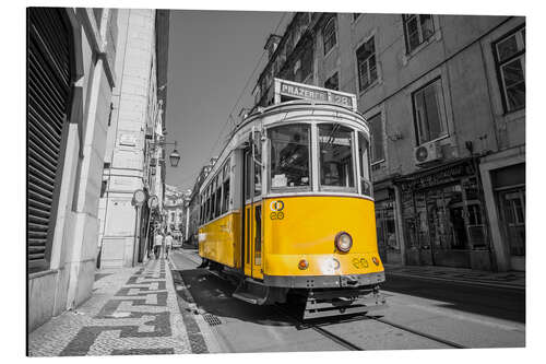 Aluminium print Tram, Lisbon