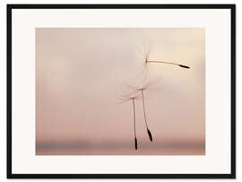 Gerahmter Kunstdruck Die Leichtigkeit des Seins