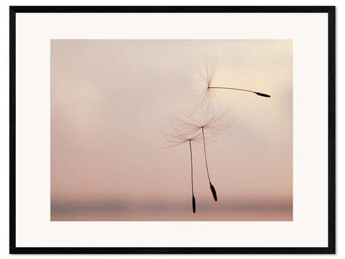 Framed art print The lightness of being