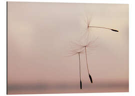 Magnettafel Die Leichtigkeit des Seins