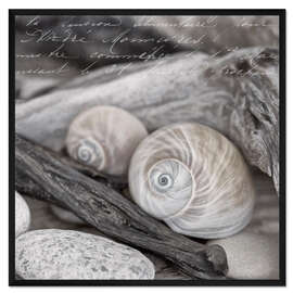 Gerahmter Kunstdruck Dekorative Muscheln und Steine