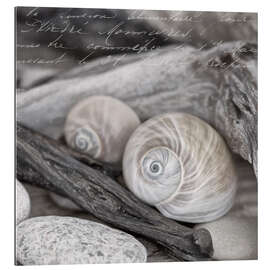 Gallery print Decorative shells and stones