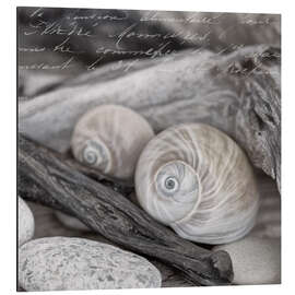 Magnettafel Dekorative Muscheln und Steine