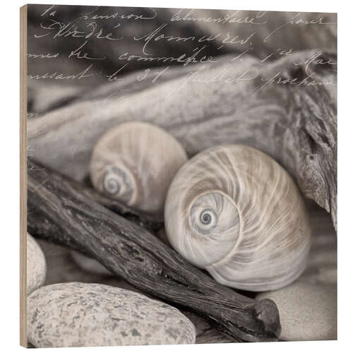 Puutaulu Decorative shells and stones