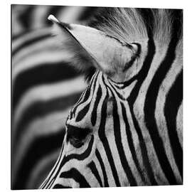 Magnettafel Zebra 