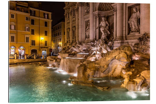 Galleritryk Rome Trevi Fountain Italy