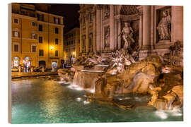 Hout print Rome Trevi Fountain Italy