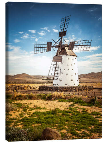 Lienzo Molino de viento en Fuerteventura