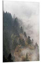 Magnettafel Nebelwald Schauinsland Schwarzwald