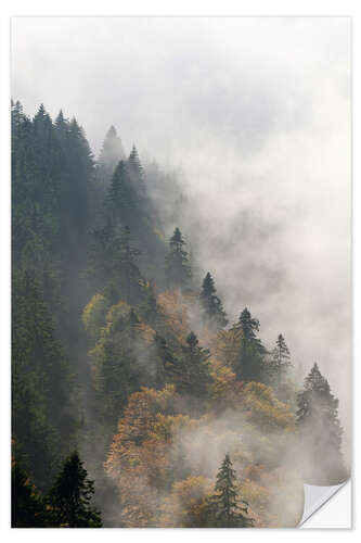 Selvklæbende plakat Skoven Schwarzwald i tågen