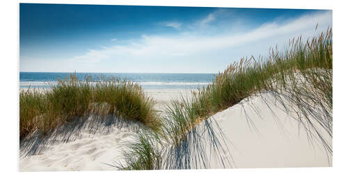 Obraz na PCV Dune with fine shining marram grass