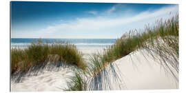 Galleritryck Dune with fine shining marram grass