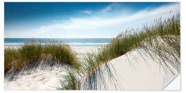 Wall sticker Dune with fine shining marram grass