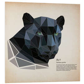 Bilde på skumplate fig6 polygon Panther square