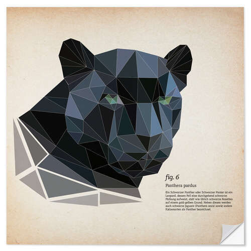 Selvklæbende plakat fig6 polygon Panther square