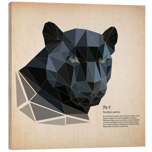 Cuadro de madera fig6 polygon Panther square