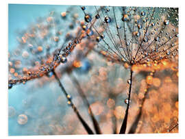 Foam board print Dandelion reflections