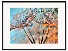 Gerahmter Kunstdruck Pusteblume Lichtreflexe