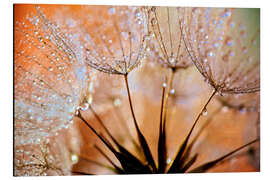 Magnettafel Pusteblume orange Light