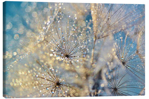 Leinwandbild Pusteblume Goldener Traum