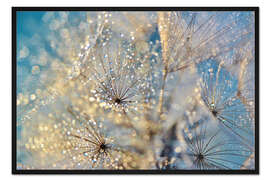 Gerahmter Kunstdruck Pusteblume Goldener Traum